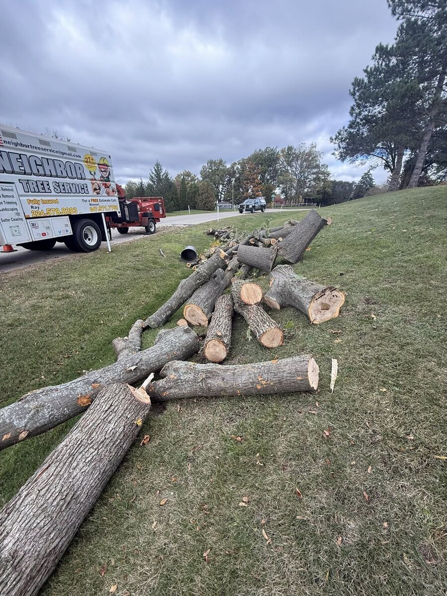 Cut tree sections on lawn with Neighbor Tree Service truck